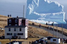 巨大冰山漂至加拿大沿海小镇 民众争相看山
