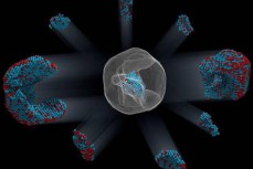 科学家首次观测到纳米粒子中23000个原子精确位置