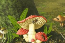 白垩纪，谁在享用蘑菇大餐？