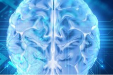ARM开发大脑芯片 可帮助脑损伤患者恢复活动